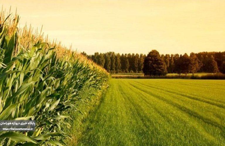 ۱۲ آبان سرشماری کشاورزی روانسر آغاز میشود