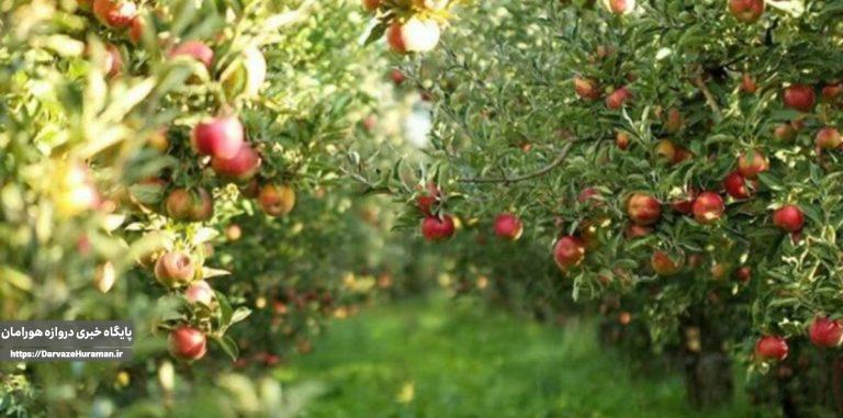 برگزاری سومین جشنواره سیب سرتخت در صحنه