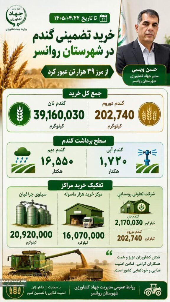 خرید تضمینی گندم در روانسر از مرز ۳۹ هزار تن گذشت .