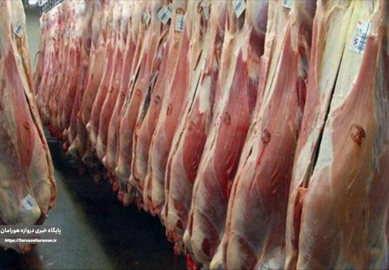 گوشت اسب و الاغ مجوز گرفت؟ پاسخ رسمی سازمان دامپزشکی به شایعات